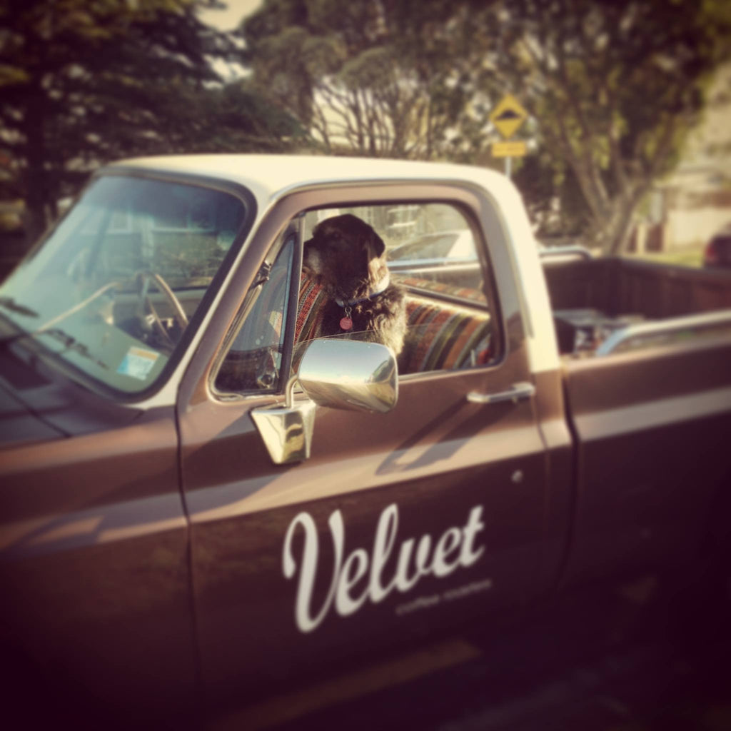 Roaster Collaboration #93 - Velvet Coffee Roasters